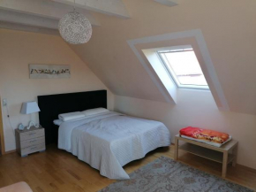 Helles Gästezimmer mit Kleinküche und Badbenutzung